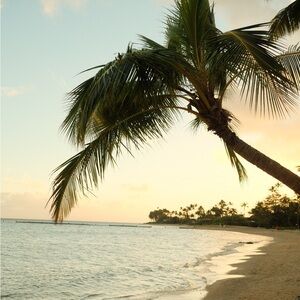 Meet your Posher, Alyson